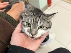 -纳吉亚猫专科动物医院博雅分院