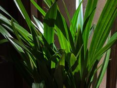 -足本纪·足道 SPA 简餐 小吃(文三西路店)