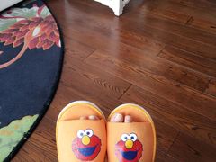 -上海外滩英迪格酒店