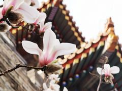 -东华门大街小区