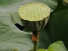 -莫催咖啡