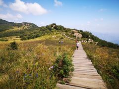 -白草畔自然风景区