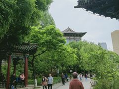 -文瀛公园