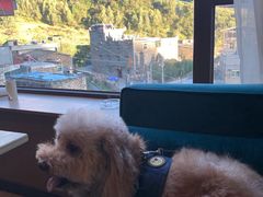 -四姑娘山阿巴郎·藏式花园餐厅