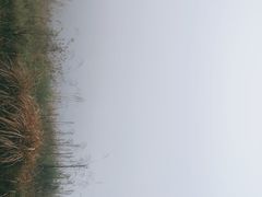 -贵州云顶草原民族风情园