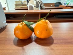 -Bco豆库(雨花客厅店)