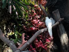 -正佳雨林生态植物园