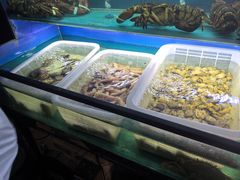 -十面欢腾·海鲜面·台式Bistro(长乐路店)