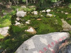 -玉渡山自然风景区