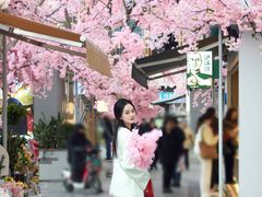 -首开·龙湖成都西宸天街