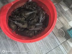 -老巴刹新加坡餐厅