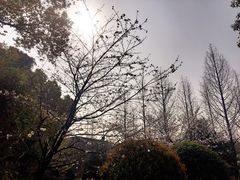 -上海植物园-4号门售票处