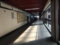 -黑龙江中医药大学附属第一医院