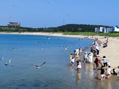-海驴岛(荣成市)
