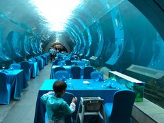 -海棠湾洲际-涛·海底餐厅·美人鱼·自助餐·海底隧道