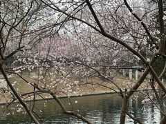 -安定门(地铁站)