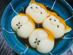 -逗柴咖啡屋·狗咖猫咖宠物桌游