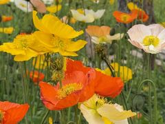 -名花谷生态庄园