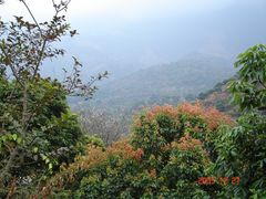 峰山叠翠-广州市石门国家森林公园