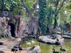 -燕塞湖鸟语林景区
