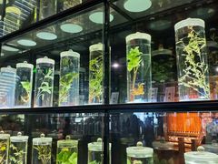 -广东中医药博物馆