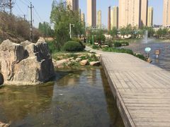 -前关湿地公园
