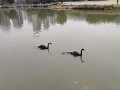 -牛岗山公园