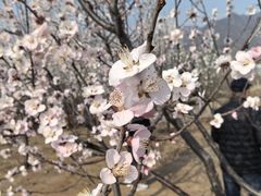-白水寺森林公园