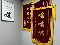 -半岛宠物医院24小时(科华中路店)