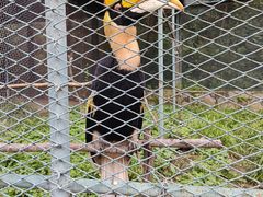 -哈尔滨北方森林动物园