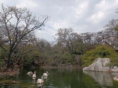 -昆明动物园
