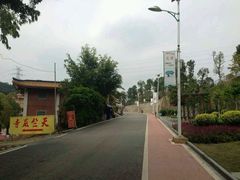 -仙岳公园