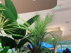 -奈雪的茶(正弘城PRO+店)