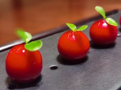 -觅唐MITONG(鸟巢店)