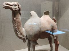 -敦煌市博物馆