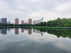 -莲花池公园