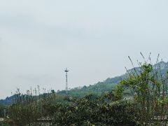 -玫瑰庄园·自助烧烤·烤全羊·团建拓展(龙泉山店)