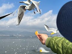 -海埂大坝