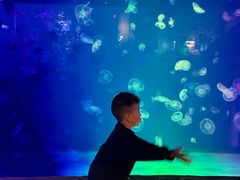 -华夏文旅海洋公园