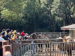 -无锡动物园·太湖欢乐园