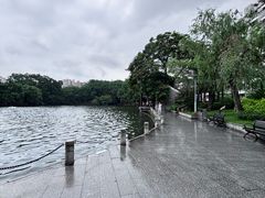 -荔湾湖公园