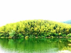 -石塘人家