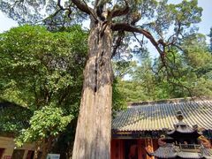 -青岛崂山太清宫