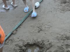 -朱家尖南沙景点