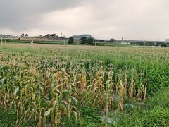 -光明小镇欢乐田园