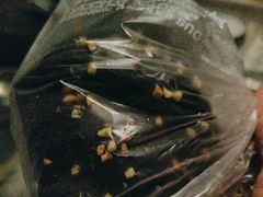 -皇家美孚·蛋糕外送(东部佳世客店)