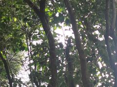 -蝴蝶泉公园