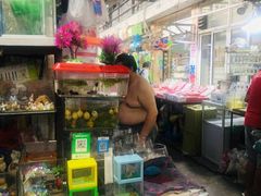-万商花鸟市场