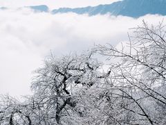 -梵净山旅游区