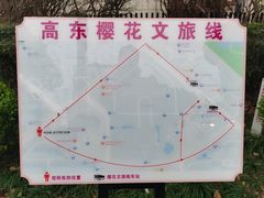 -高东镇樱花园